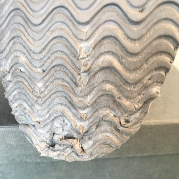 Sox Tab Sequin Booties - Picture 8 of 8